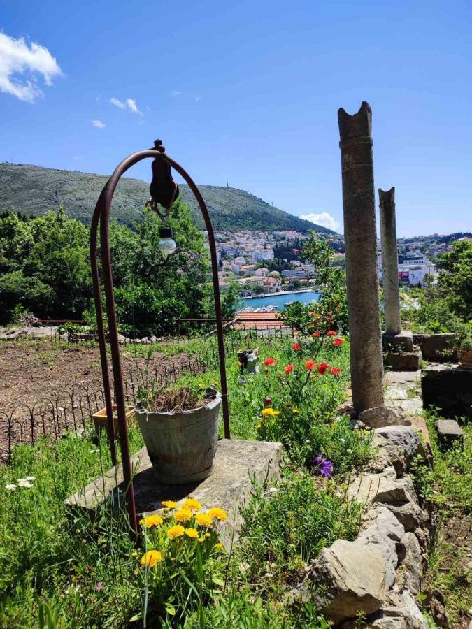 Peaceful House In Dubrovnik Διαμέρισμα Εξωτερικό φωτογραφία